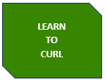 QUICK LINK LEARN TO CURL